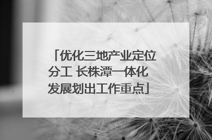 优化三地产业定位分工 长株潭一体化发展划出工作重点