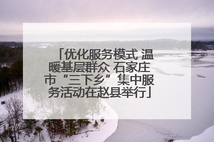 优化服务模式 温暖基层群众 石家庄市“三下乡”集中服务活动在赵县举行