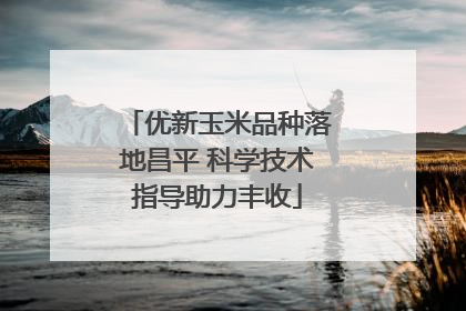 优新玉米品种落地昌平 科学技术指导助力丰收