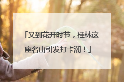 又到花开时节，桂林这座名山引发打卡潮！