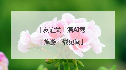 友谊关上演AI秀丨旅游一线见闻