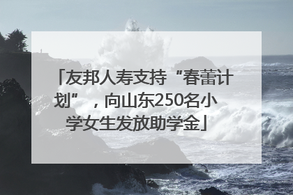 友邦人寿支持“春蕾计划”，向山东250名小学女生发放助学金
