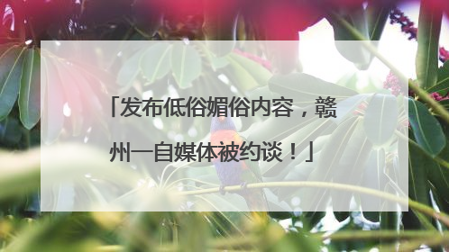 发布低俗媚俗内容，赣州一自媒体被约谈！