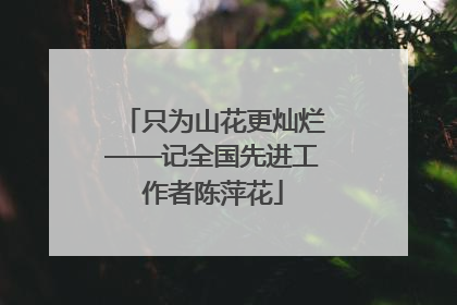 只为山花更灿烂——记全国先进工作者陈萍花
