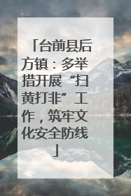 台前县后方镇：多举措开展“扫黄打非”工作，筑牢文化安全防线