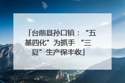 台前县孙口镇：“五基四化”为抓手 “三夏”生产保丰收