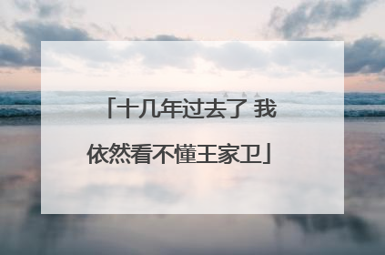 十几年过去了 我依然看不懂王家卫