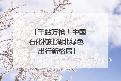 千站万枪！中国石化构建湖北绿色出行新格局
