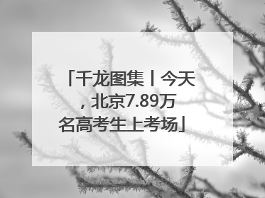 千龙图集丨今天，北京7.89万名高考生上考场