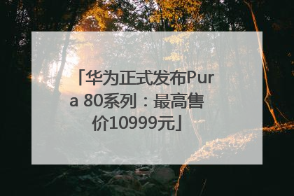 华为正式发布Pura 80系列：最高售价10999元