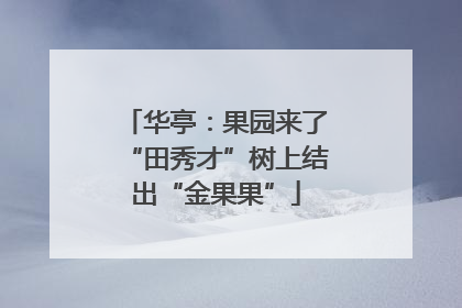 华亭：果园来了“田秀才”树上结出“金果果”