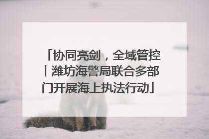 协同亮剑，全域管控丨潍坊海警局联合多部门开展海上执法行动