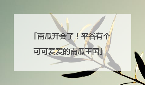 南瓜开会了！平谷有个可可爱爱的南瓜王国