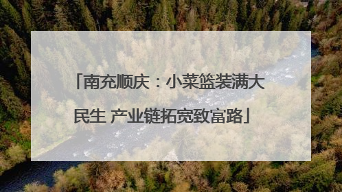 南充顺庆：小菜篮装满大民生 产业链拓宽致富路