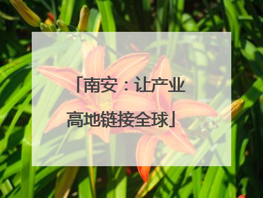 南安：让产业高地链接全球