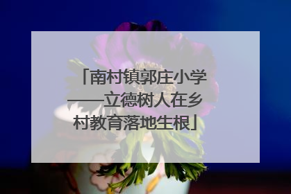 南村镇郭庄小学——立德树人在乡村教育落地生根