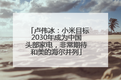 卢伟冰：小米目标2030年成为中国头部家电，非常期待和美的海尔并列