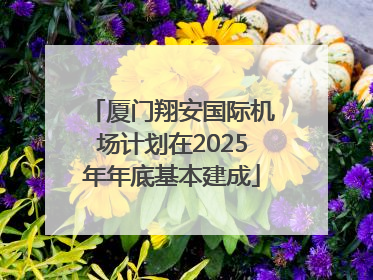 厦门翔安国际机场计划在2025年年底基本建成