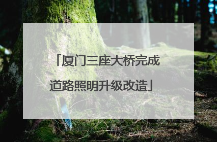 厦门三座大桥完成道路照明升级改造