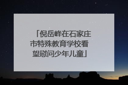 倪岳峰在石家庄市特殊教育学校看望慰问少年儿童