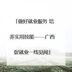 做好就业服务 培养实用技能——广西促就业一线见闻