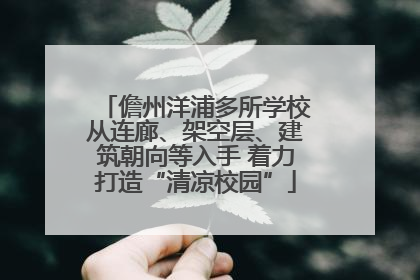 儋州洋浦多所学校从连廊、架空层、建筑朝向等入手 着力打造“清凉校园”