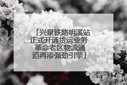 兴泉铁路明溪站正式开通货运业务 革命老区物流通道再添强劲引擎