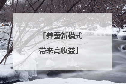 养蚕新模式带来高收益