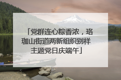 党群连心粽香浓，珞珈山街道两新组织别样主题党日庆端午