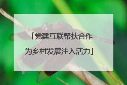 党建互联帮扶合作 为乡村发展注入活力