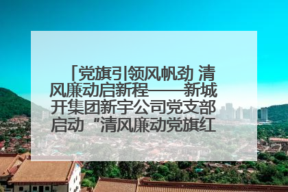 党旗引领风帆劲 清风廉动启新程——新城开集团新宇公司党支部启动“清风廉动党旗红”系列活动