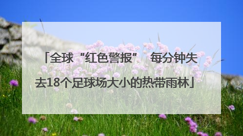 全球“红色警报”  每分钟失去18个足球场大小的热带雨林