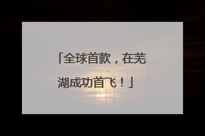 全球首款，在芜湖成功首飞！