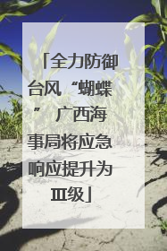 全力防御台风“蝴蝶” 广西海事局将应急响应提升为Ⅲ级