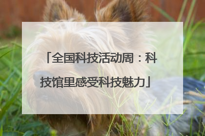 全国科技活动周：科技馆里感受科技魅力