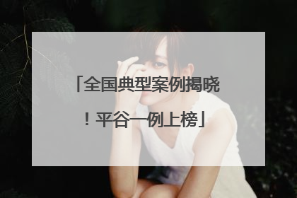 全国典型案例揭晓！平谷一例上榜