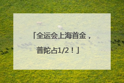 全运会上海首金，普陀占1/2！