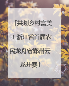 共划乡村富美！浙江省首届农民龙舟赛鄞州云龙开赛