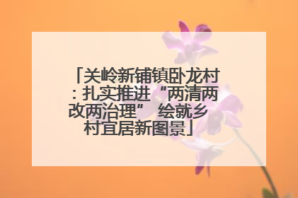 关岭新铺镇卧龙村：扎实推进“两清两改两治理” 绘就乡村宜居新图景