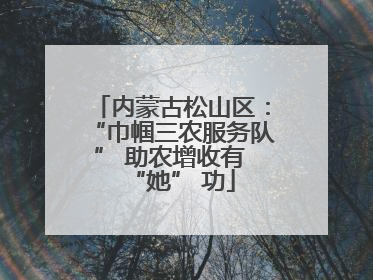 内蒙古松山区：“巾帼三农服务队” 助农增收有 “她” 功