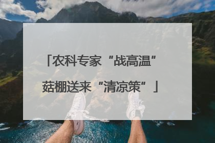 农科专家“战高温” 菇棚送来“清凉策”