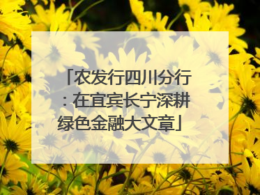 农发行四川分行：在宜宾长宁深耕绿色金融大文章