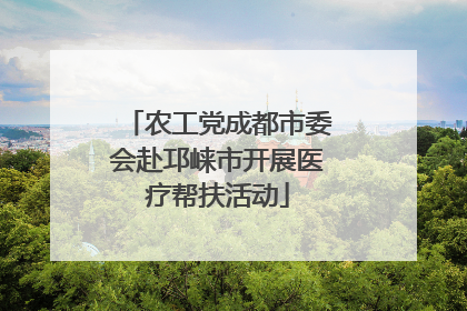 农工党成都市委会赴邛崃市开展医疗帮扶活动