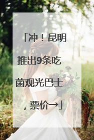 冲！昆明推出9条吃菌观光巴士，票价→