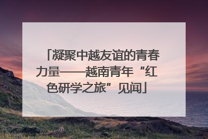 凝聚中越友谊的青春力量——越南青年“红色研学之旅”见闻