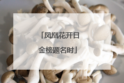 凤凰花开日 金榜题名时