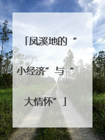 凤溪地的“小经济”与“大情怀”