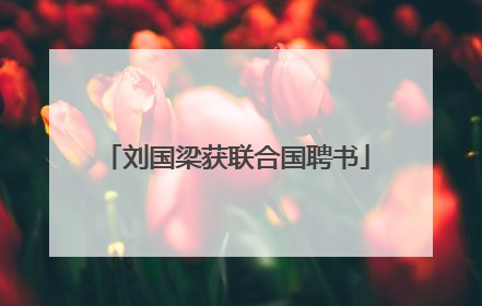 刘国梁获联合国聘书