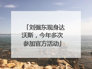 刘强东现身达沃斯，今年多次参加官方活动