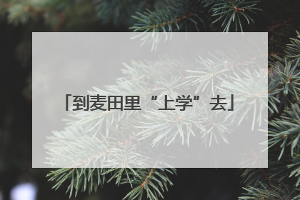 到麦田里“上学”去